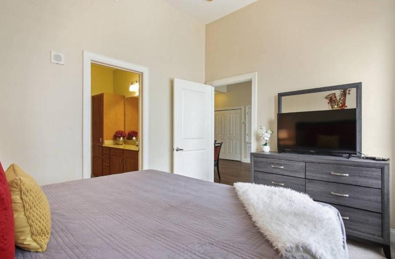 Amazing Condos Beautiful View 2 Blocks To French Quarter, Small Rooftop Pool, Gym, Seanger Theater, Super Dome, And Bourbon St Новый Орлеан Экстерьер фото